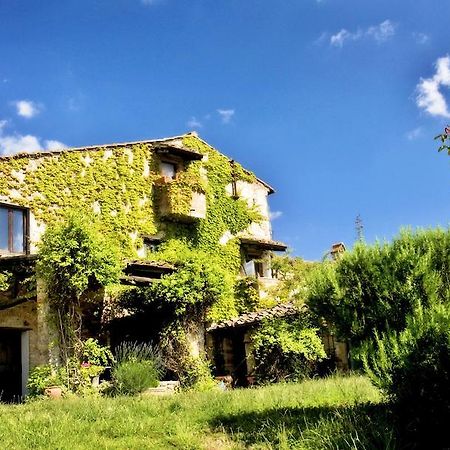 Podere Patrignone Pensionat Castellina in Chianti Eksteriør billede