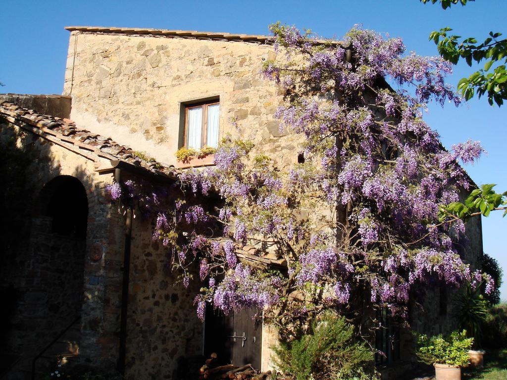 Podere Patrignone Pensionat Castellina in Chianti Eksteriør billede