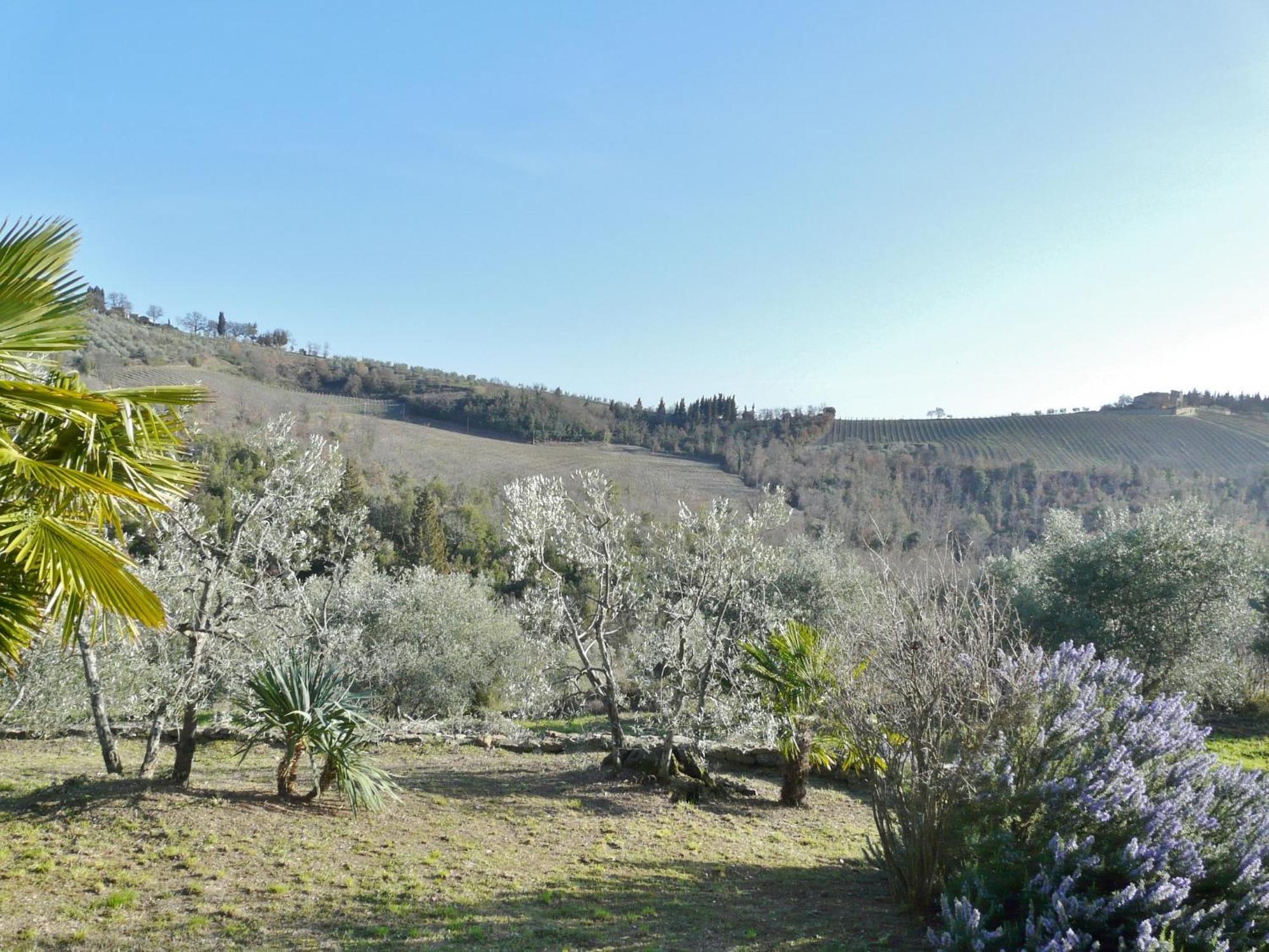 Podere Patrignone Pensionat Castellina in Chianti Værelse billede