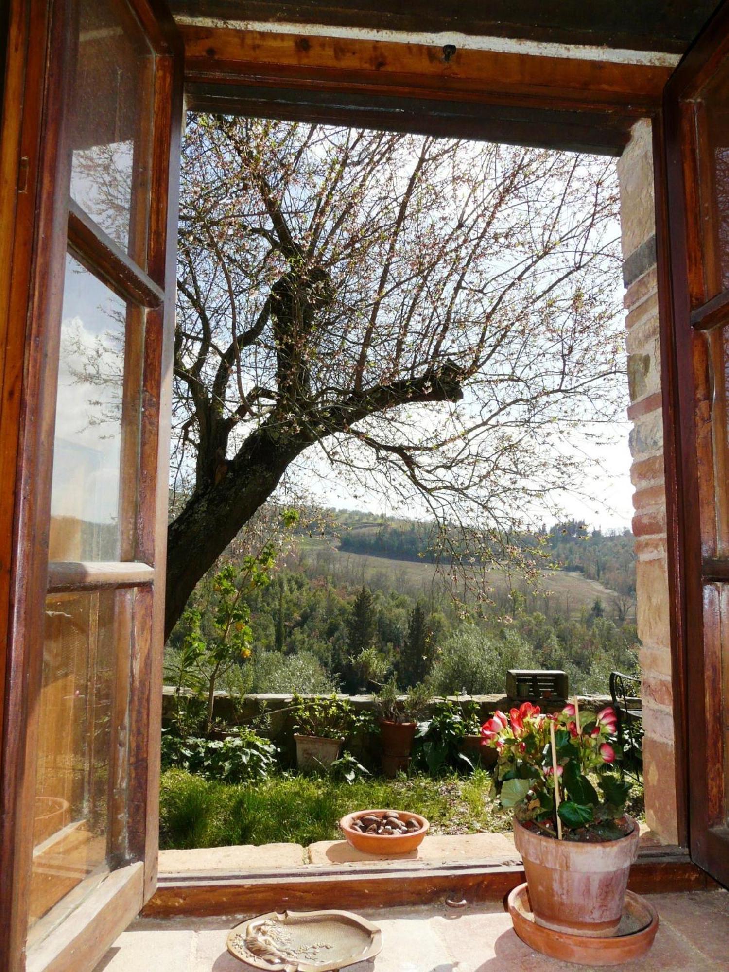 Podere Patrignone Pensionat Castellina in Chianti Værelse billede