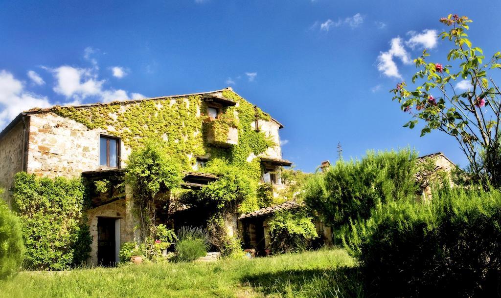 Podere Patrignone Pensionat Castellina in Chianti Eksteriør billede
