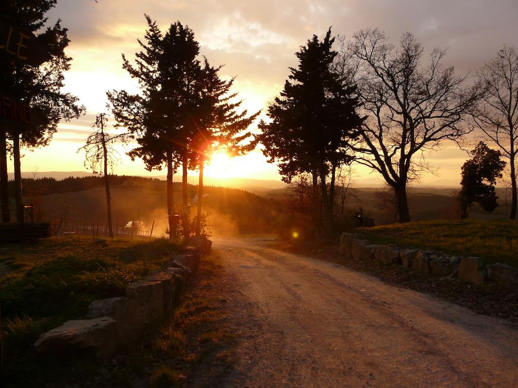 Podere Patrignone Pensionat Castellina in Chianti Eksteriør billede